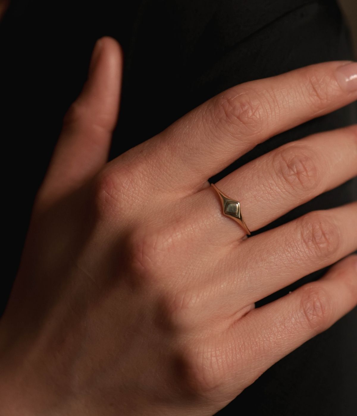 טבעת חותם | זהב 14k