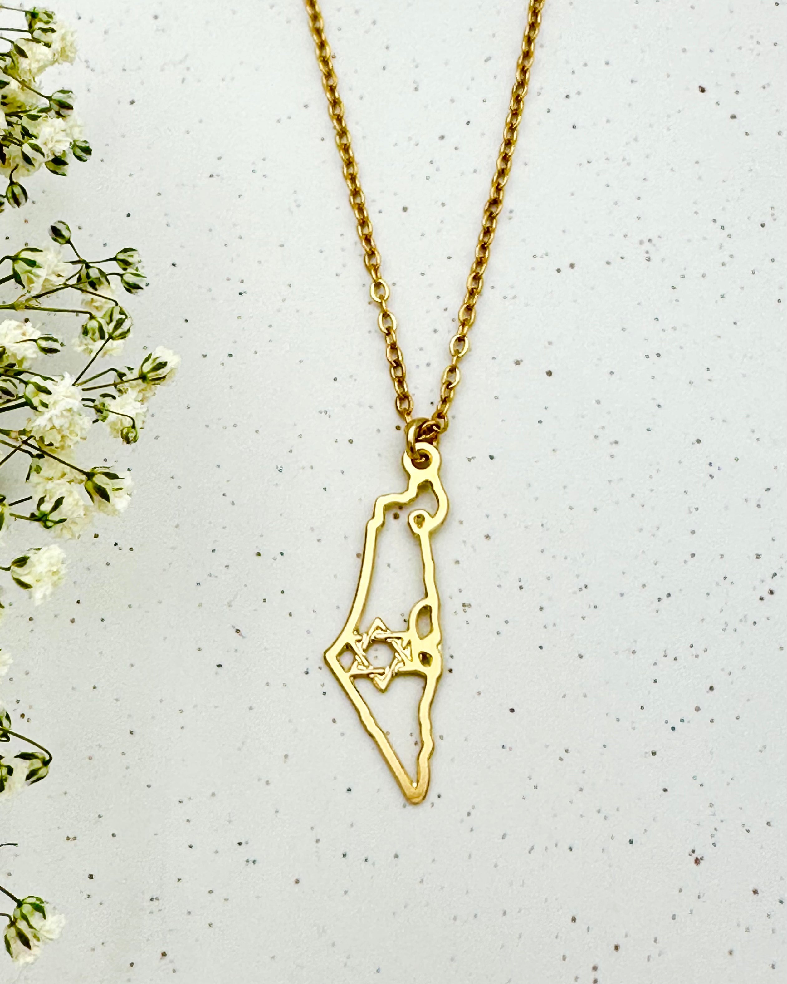 שרשרת עדינה בציפוי זהב בצורת מפת ארץ ישראל עם מגן דוד פנימי, בעיצוב נשי ומלא משמעות, המדגישה חיבור לארץ, זהות ושייכות.