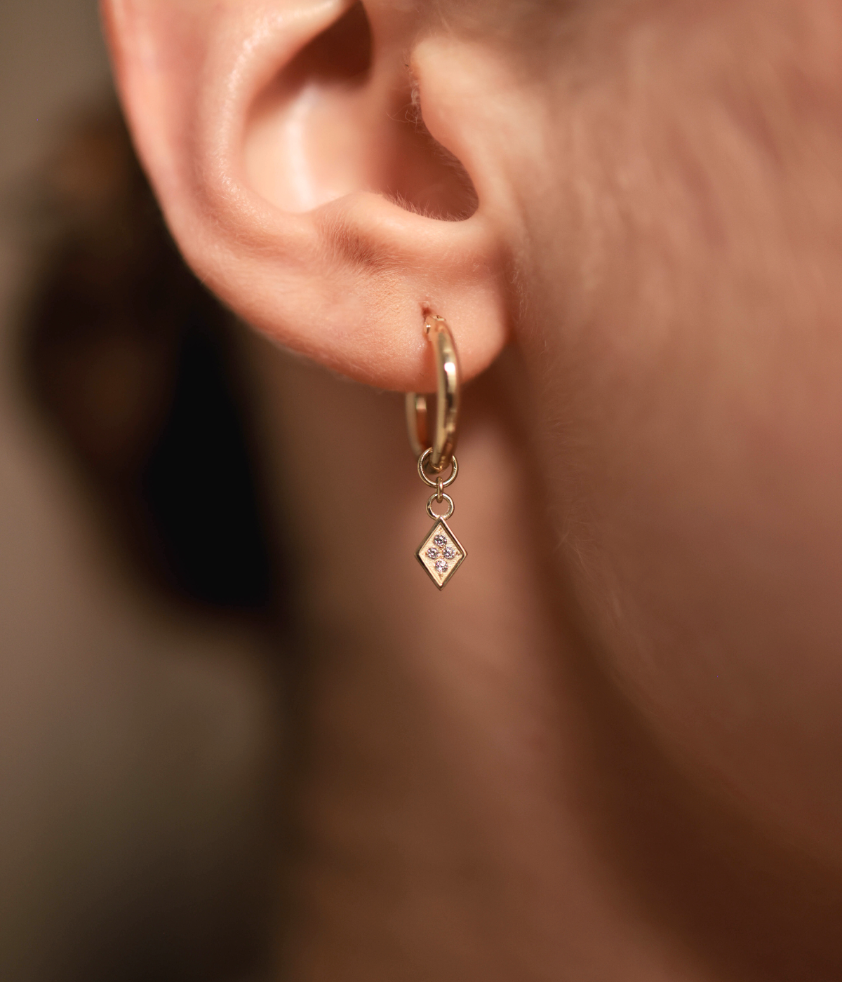 חישוקי פאולה  |  זהב 14k