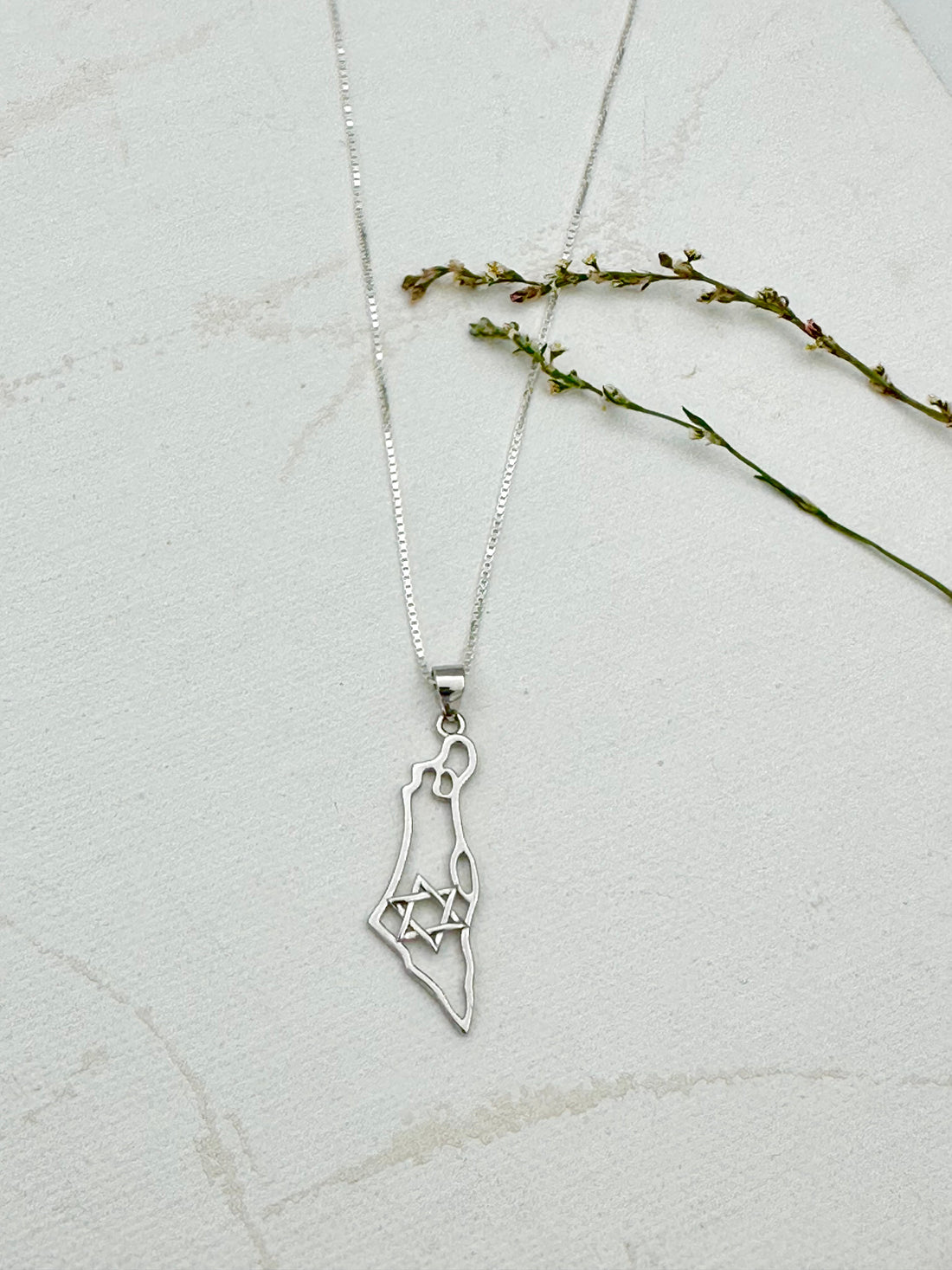 שרשרת ארץ ישראל לגבר מכסף 925 עם תליון מפת ישראל, עיצוב עדין ובעל משמעות, מדגישה חיבור לארץ ולזהות.